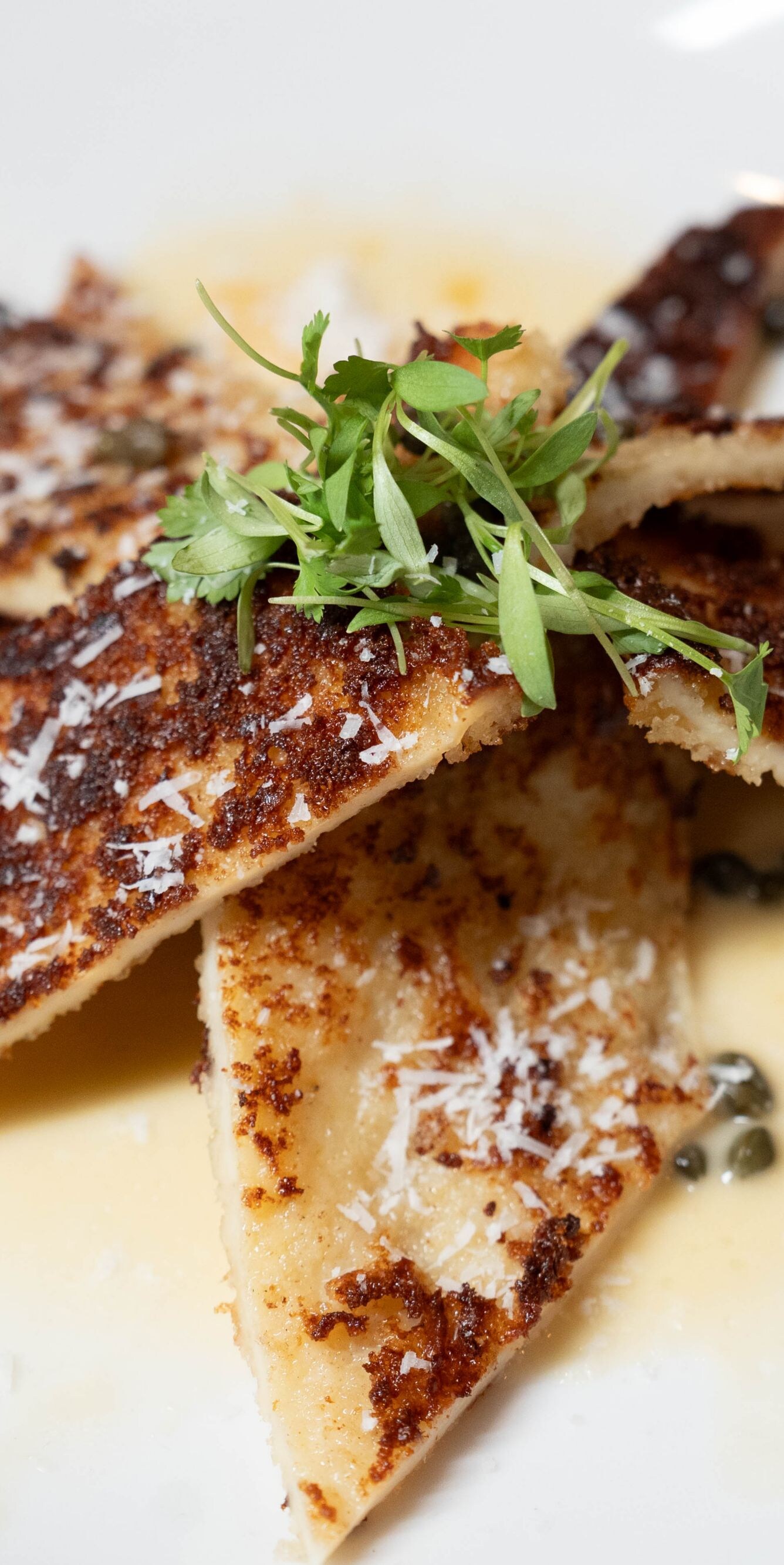 Seared calamari with herbs and capers