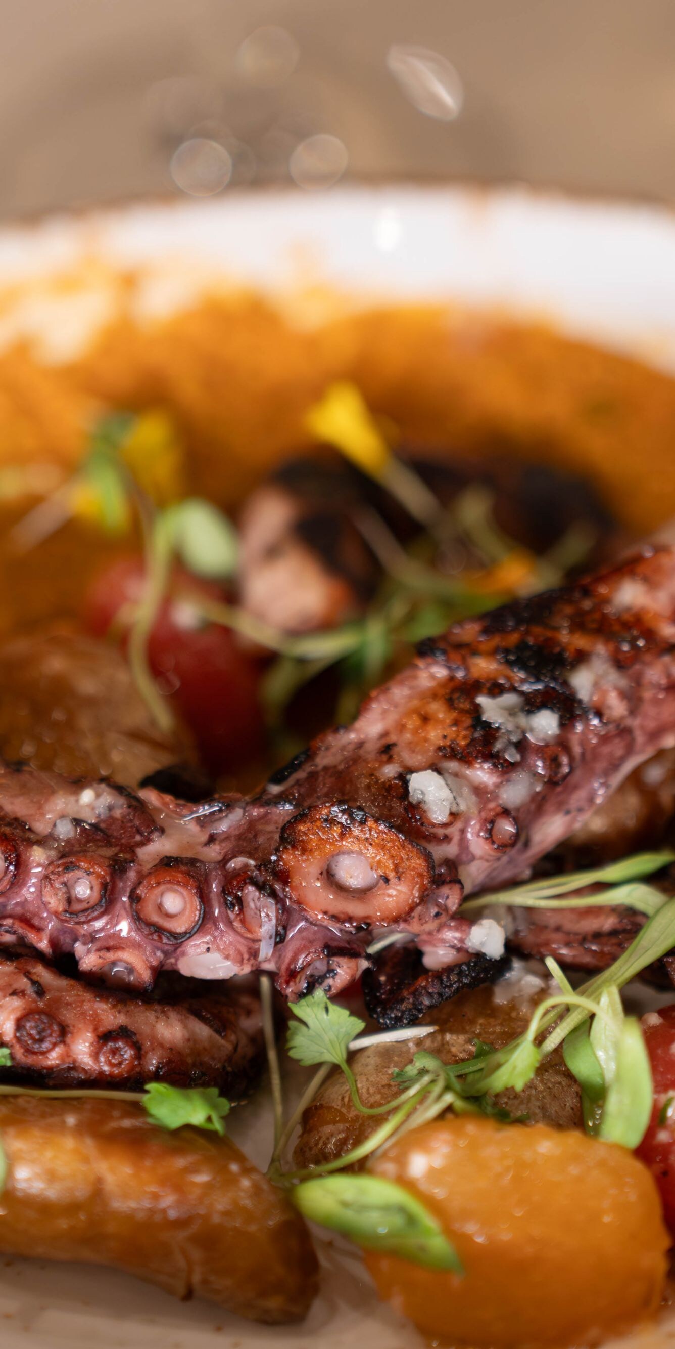 Grilled octopus with potatoes and tomatoes