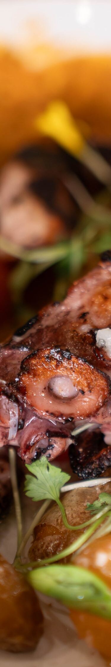 Grilled octopus with potatoes and tomatoes