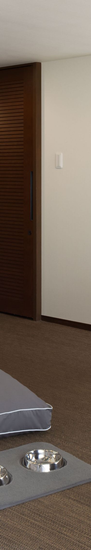 ドッグプレミアムルーム、ベッド4台