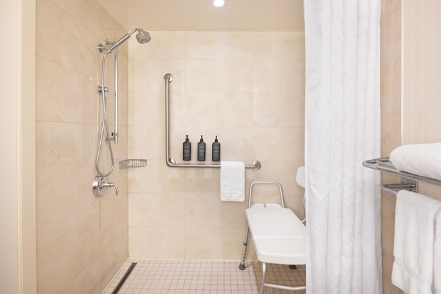Accessible Room - Shower