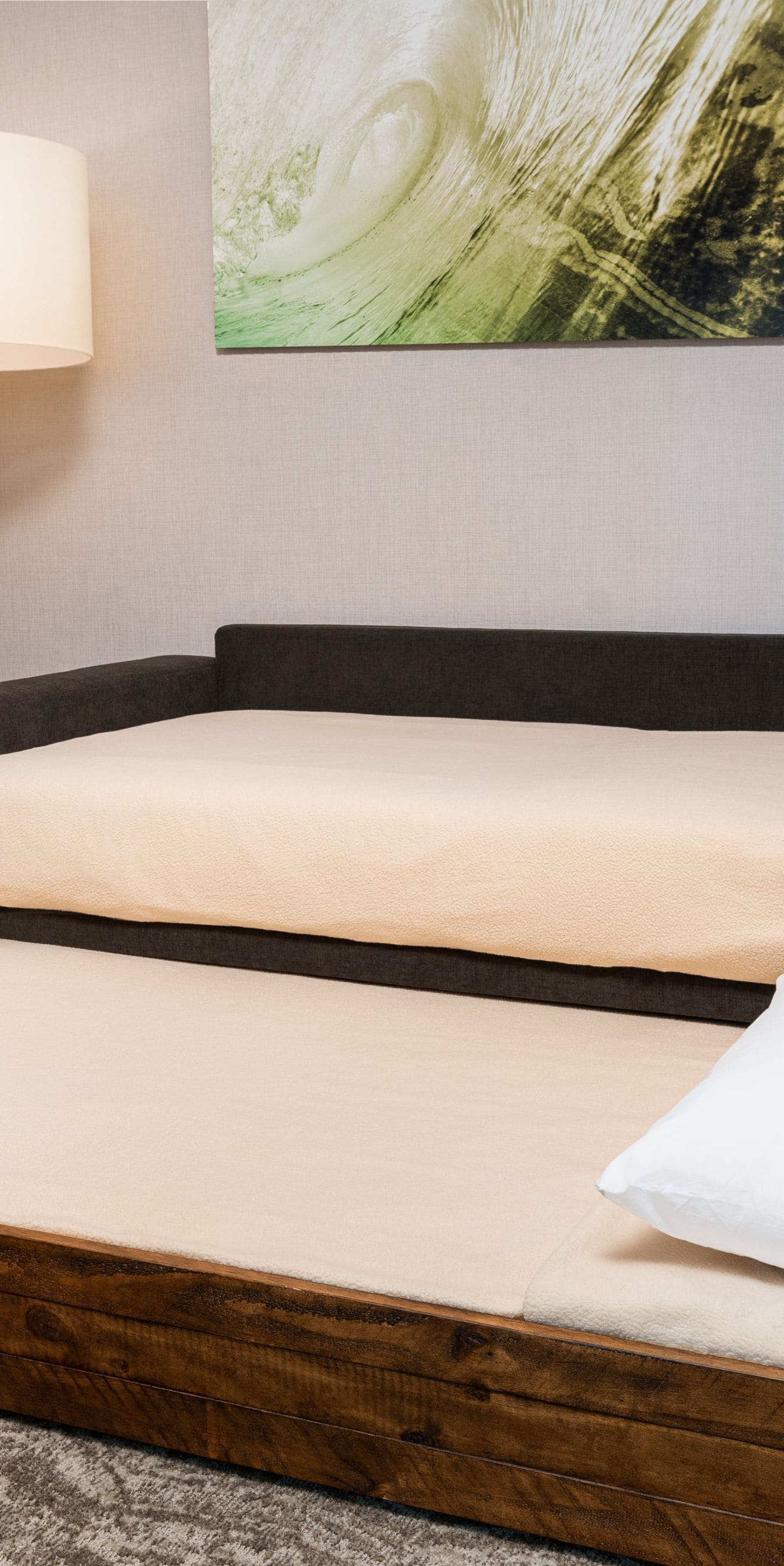 Suite - Pull-out Sofa Bed