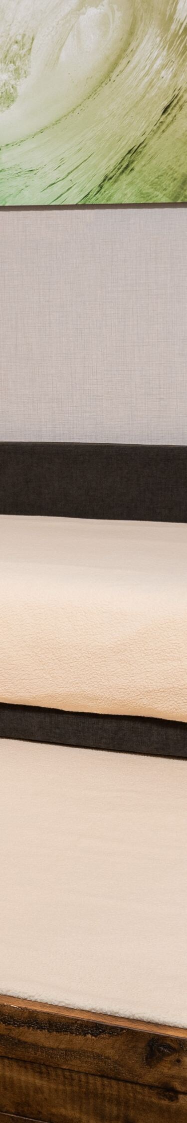 Suite - Pull-out Sofa Bed