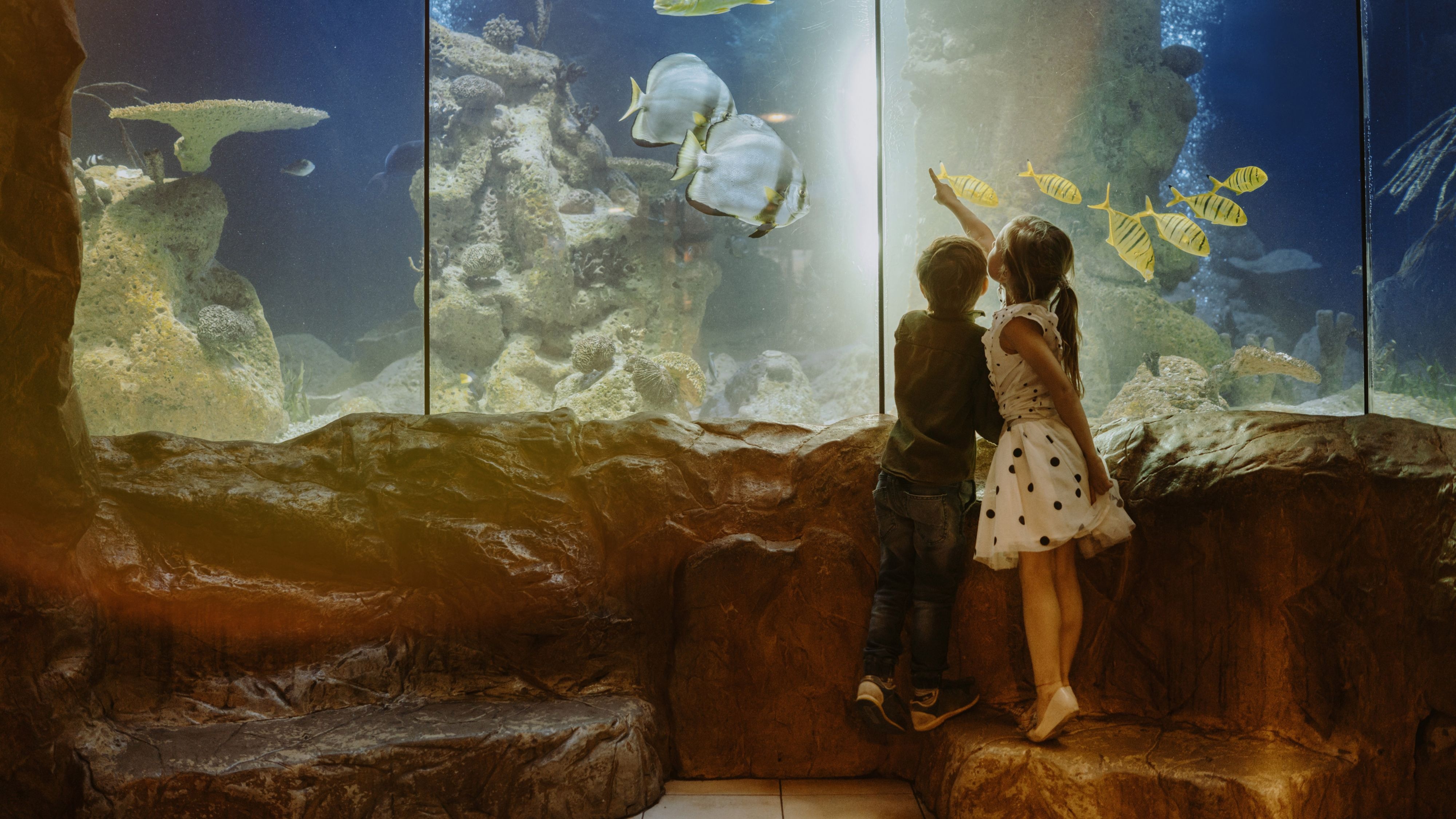 New England Aquarium Family Getaway