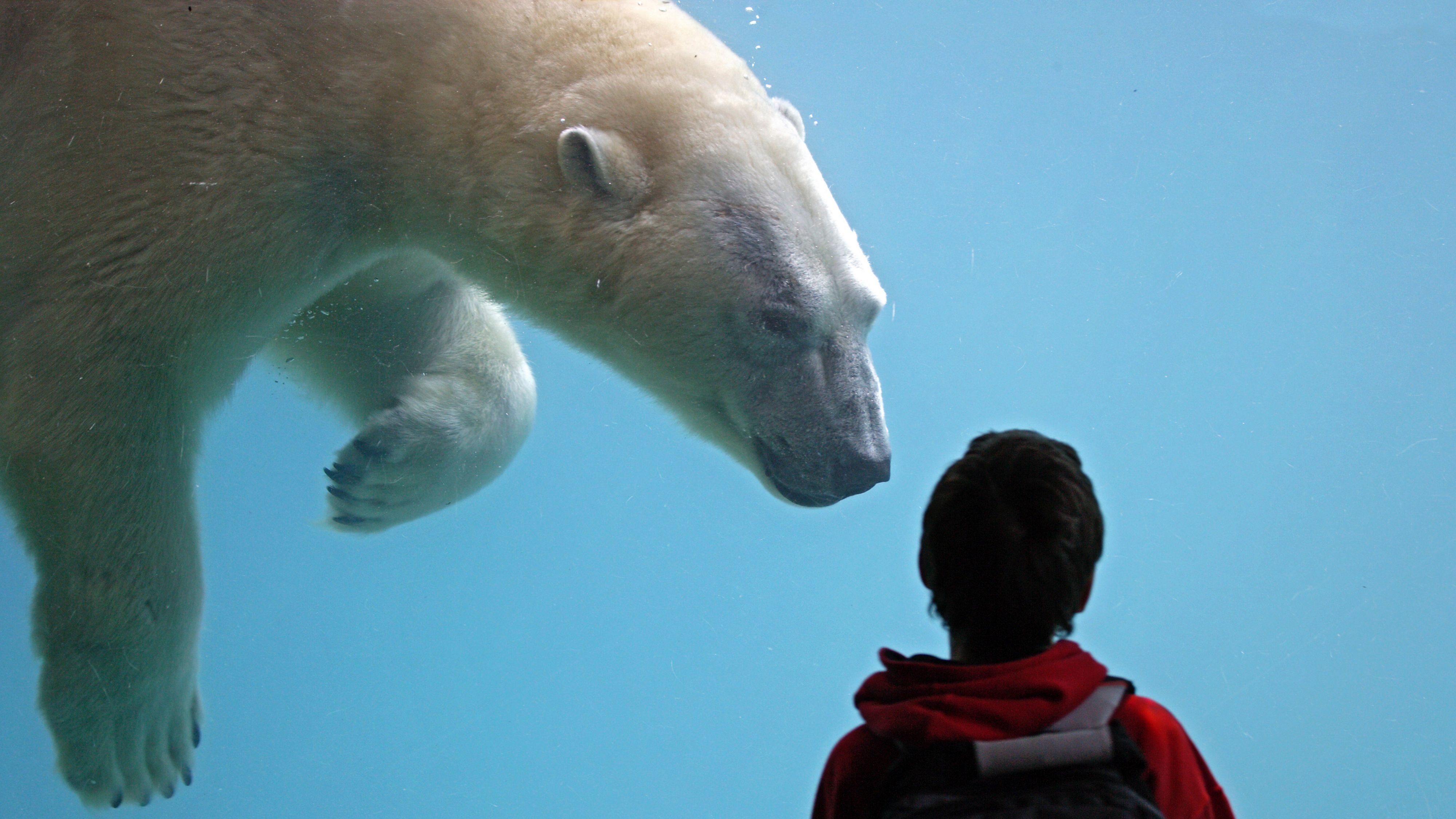 SeaWorld Package