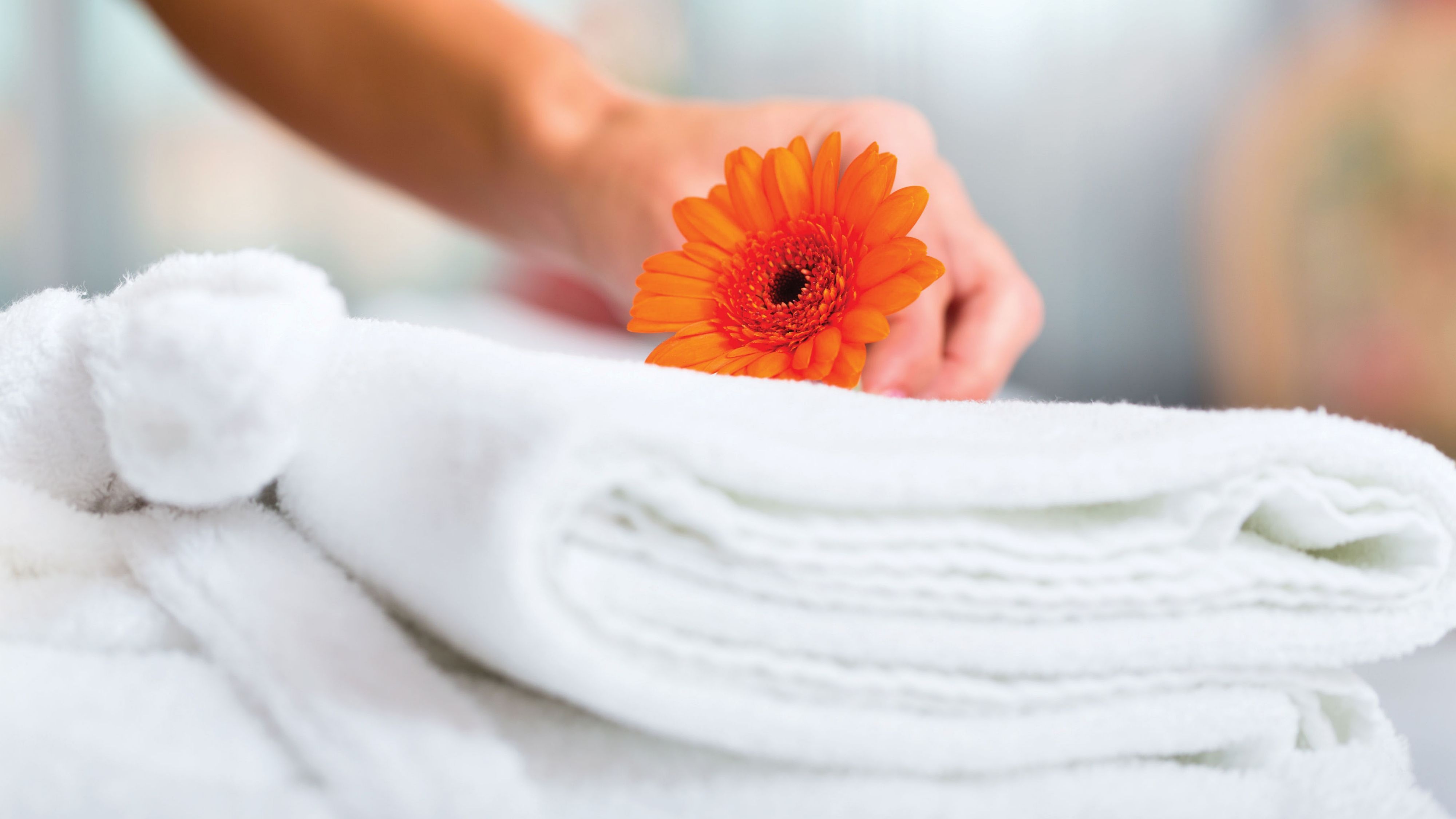 In-Room Amenities