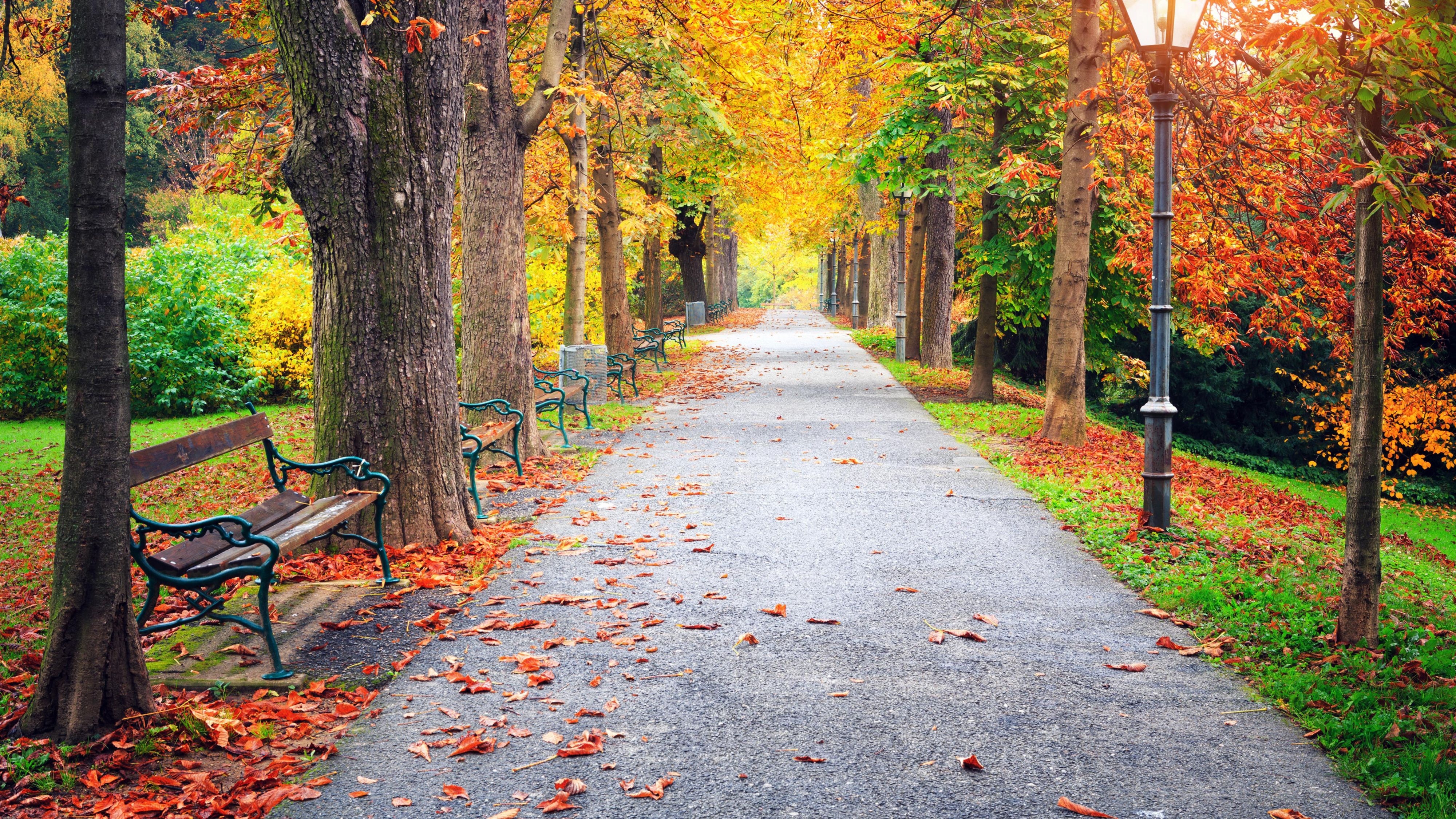 Autumn at The Ann