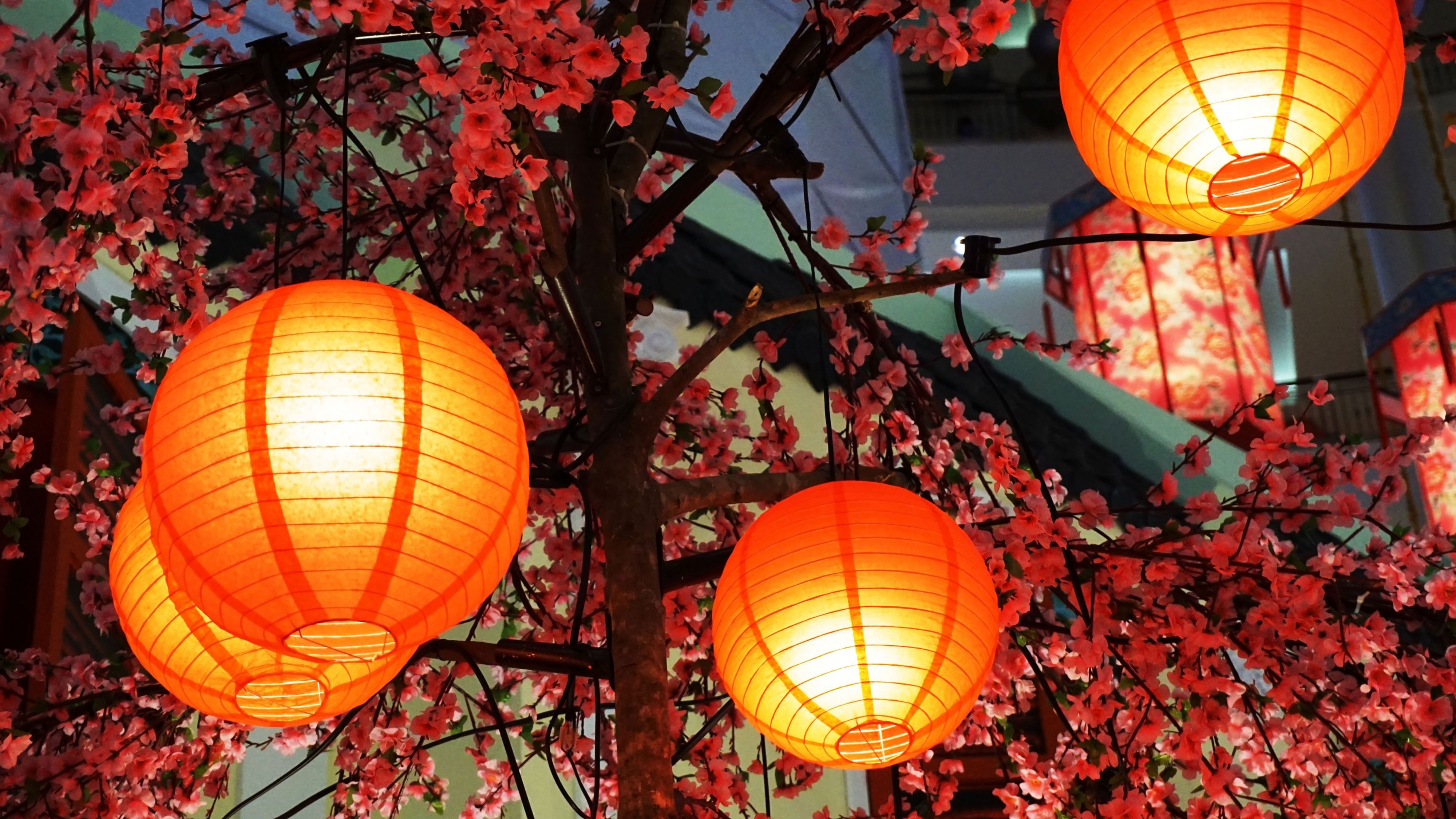 Lunar Year Celebration