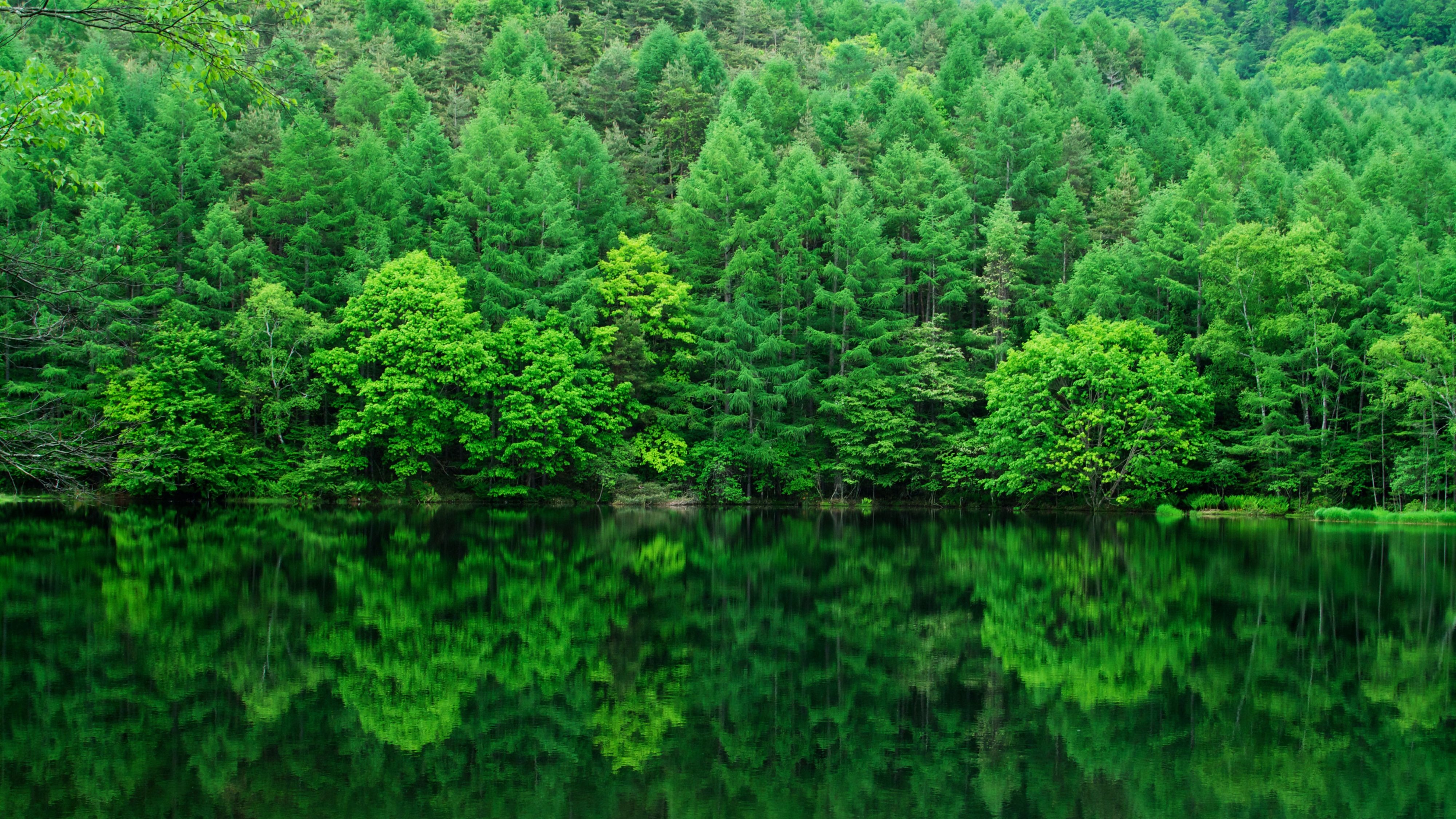 Stay Green at JW