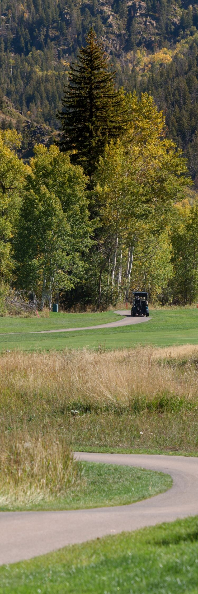Player on golf course, view of mountains