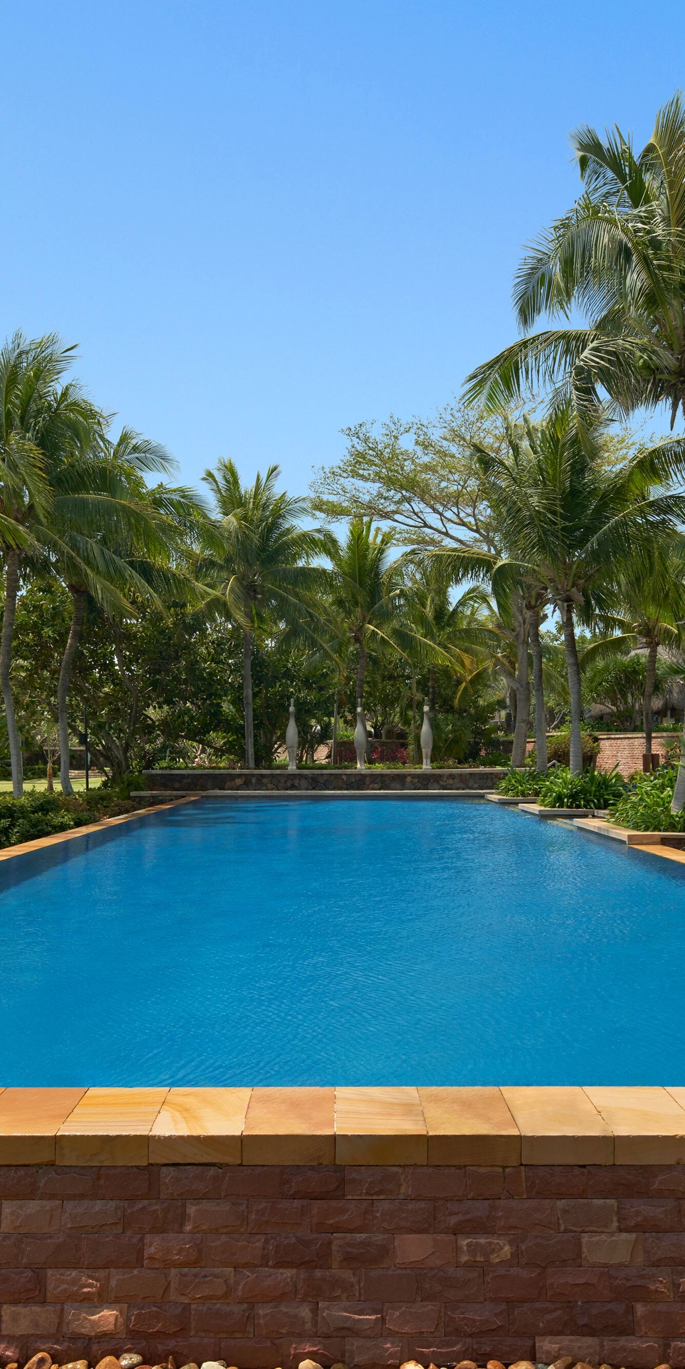 Lotus Pool
