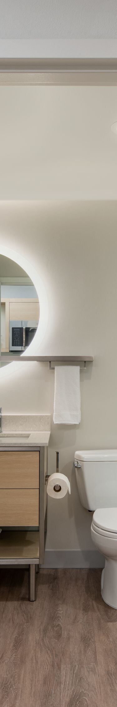 Representation of Suite Bathroom & Storage Area