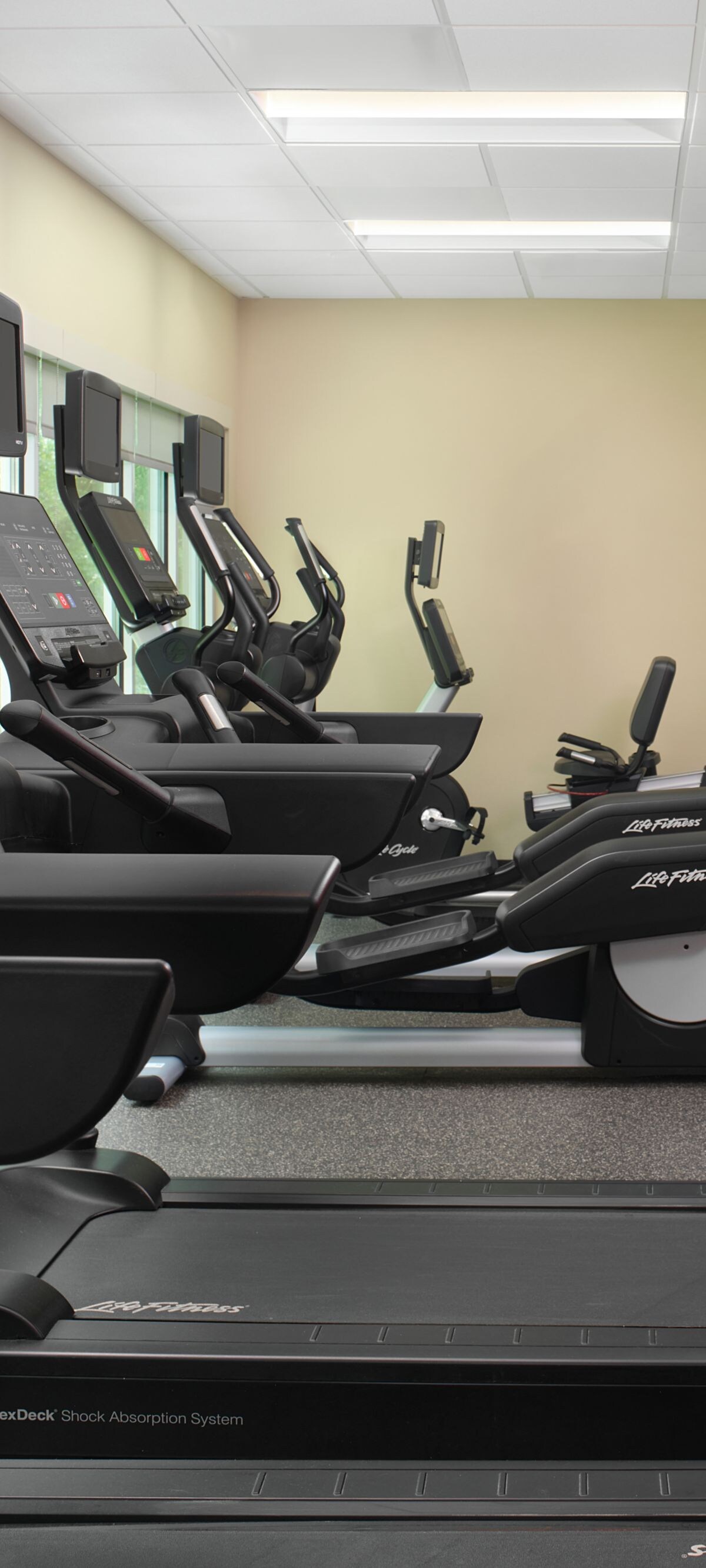 Treadmills and cardio machines in gym