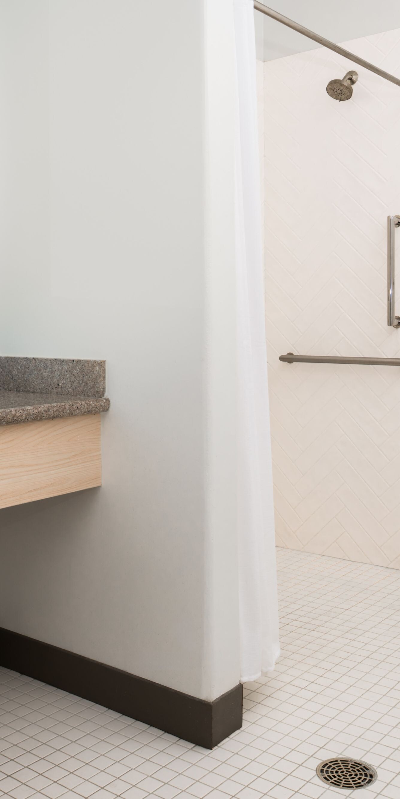 Wheelchair Accessible Bathroom with Roll-in Shower