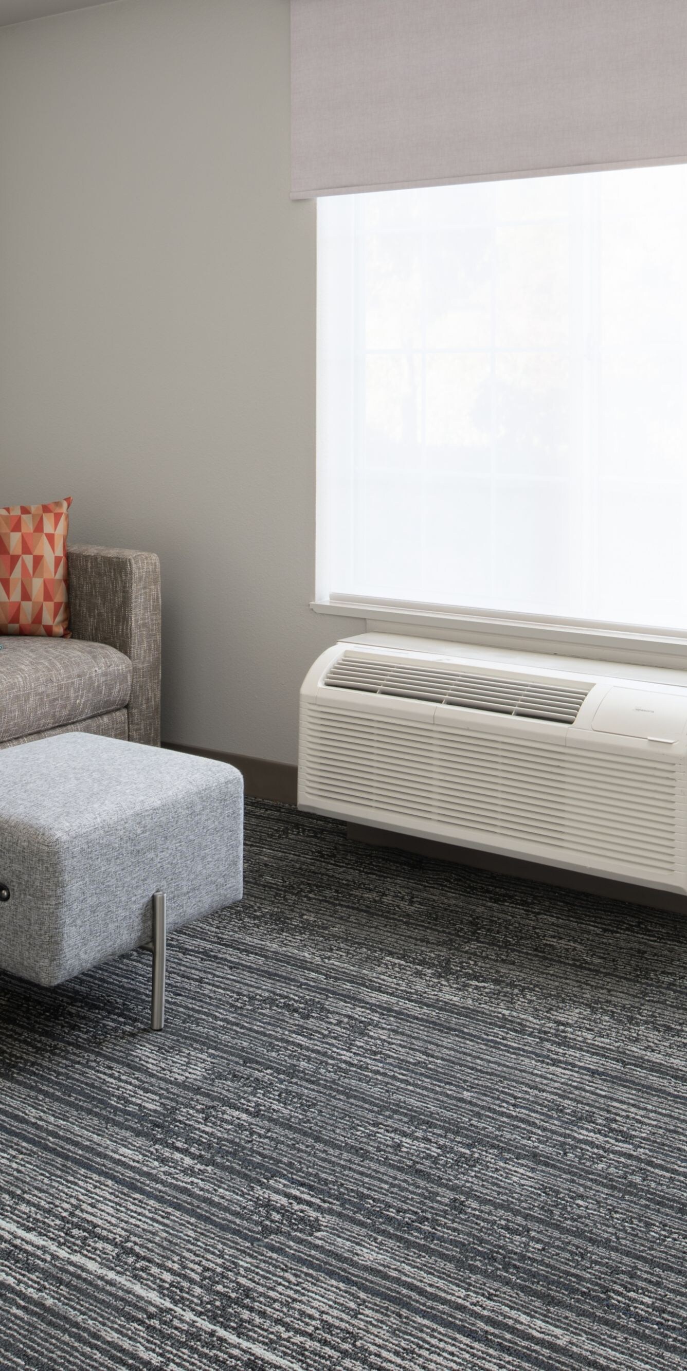 Living room showing sofa bed and ottoman
