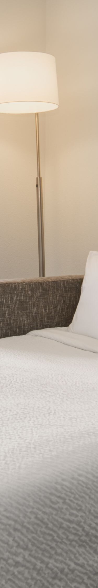 Pull-out couch set up as bed