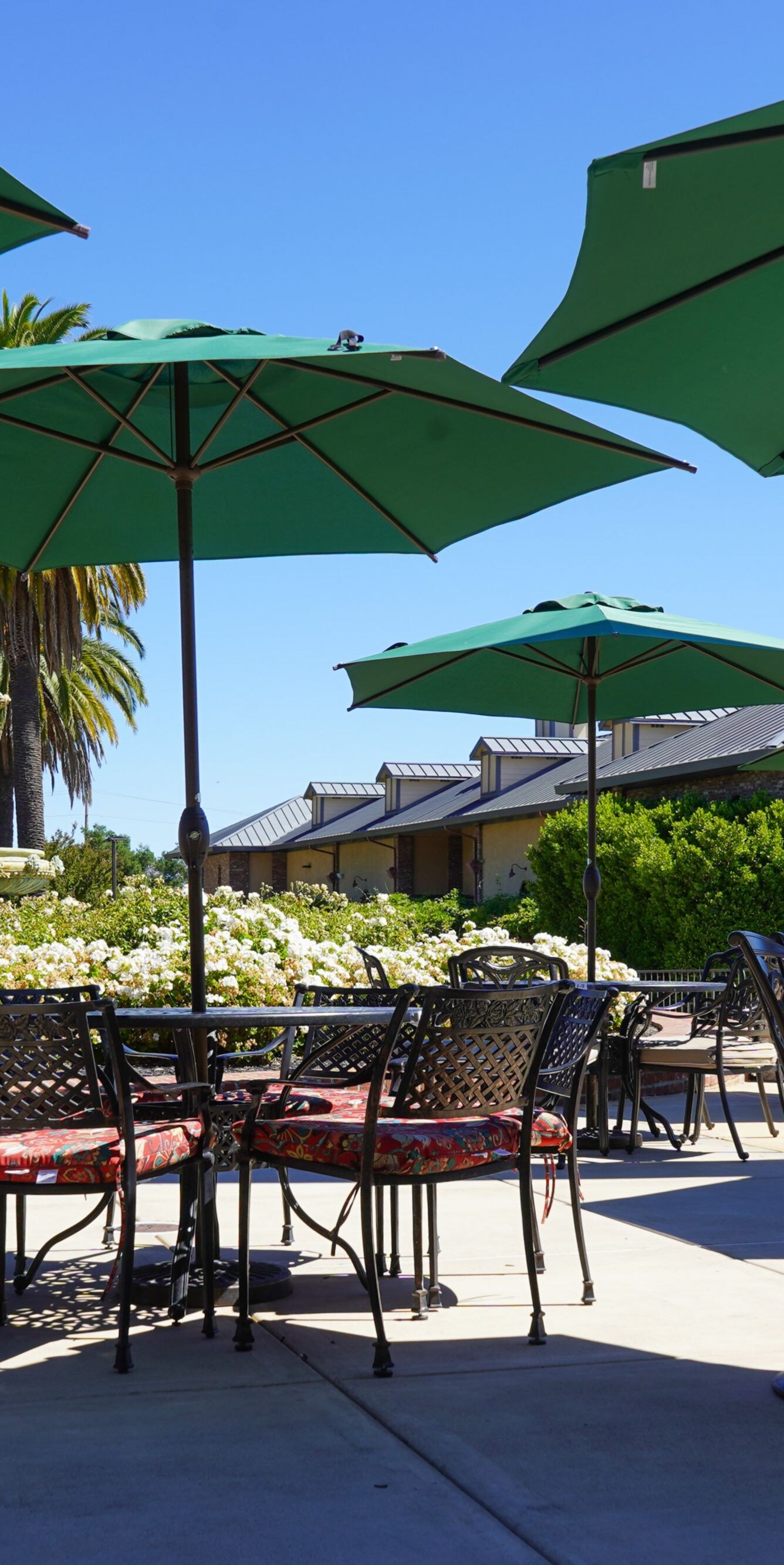 Outdoor patio seating with green umbrellas 