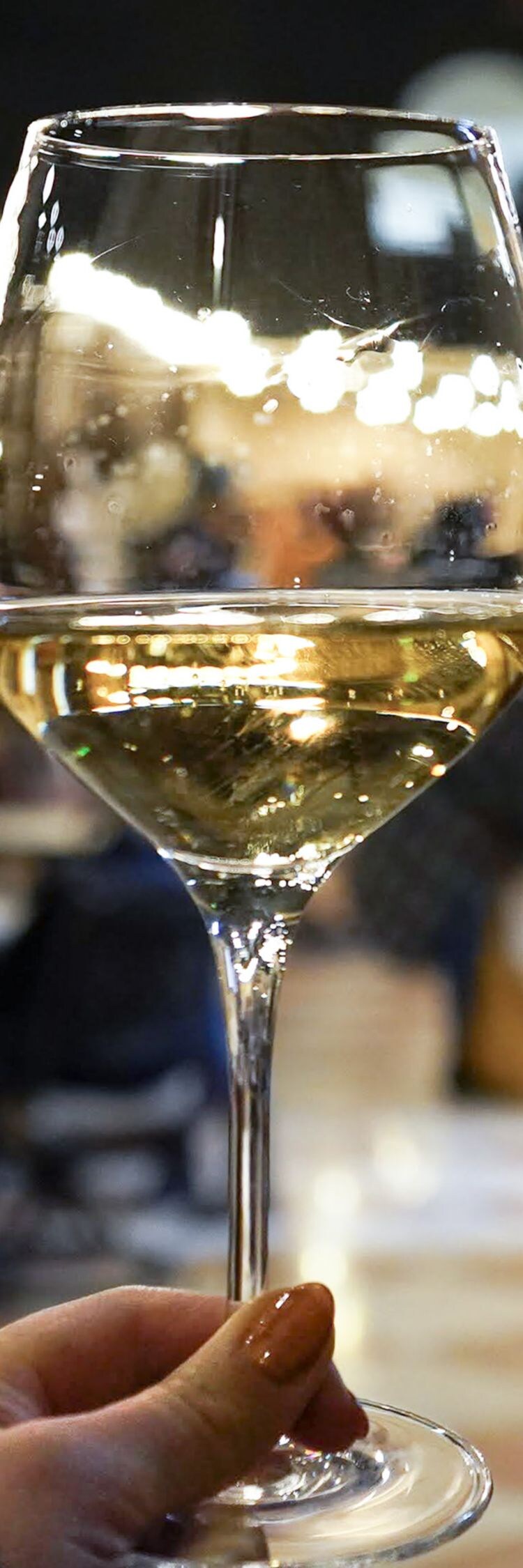 White wine inside the tasting room 