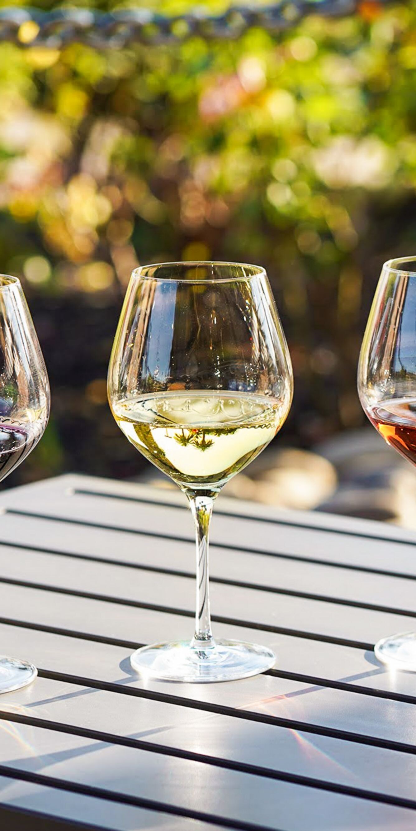 Wine tasting flight on outdoor patio