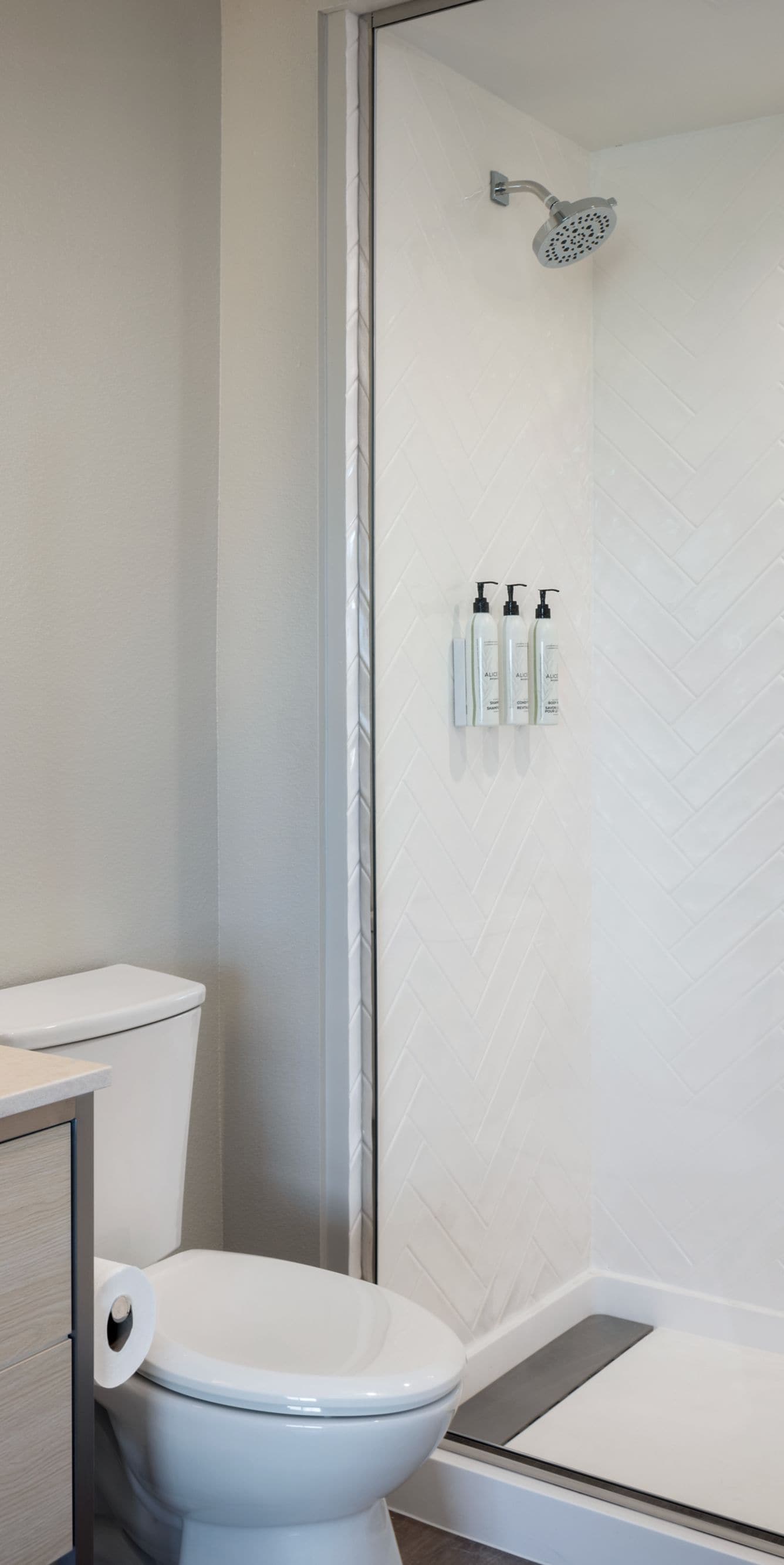 Guest Bathroom Shower