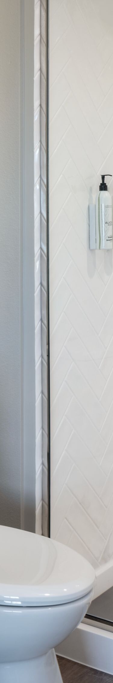 Guest Bathroom Shower