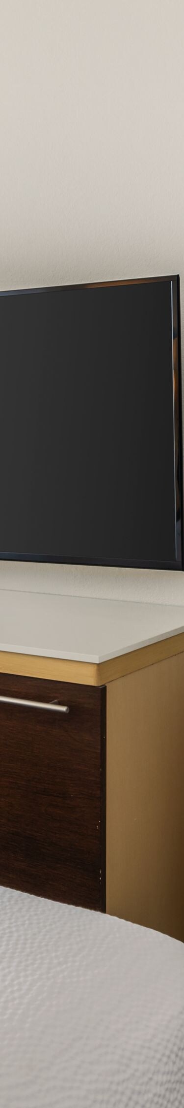 bed with tv and storage area