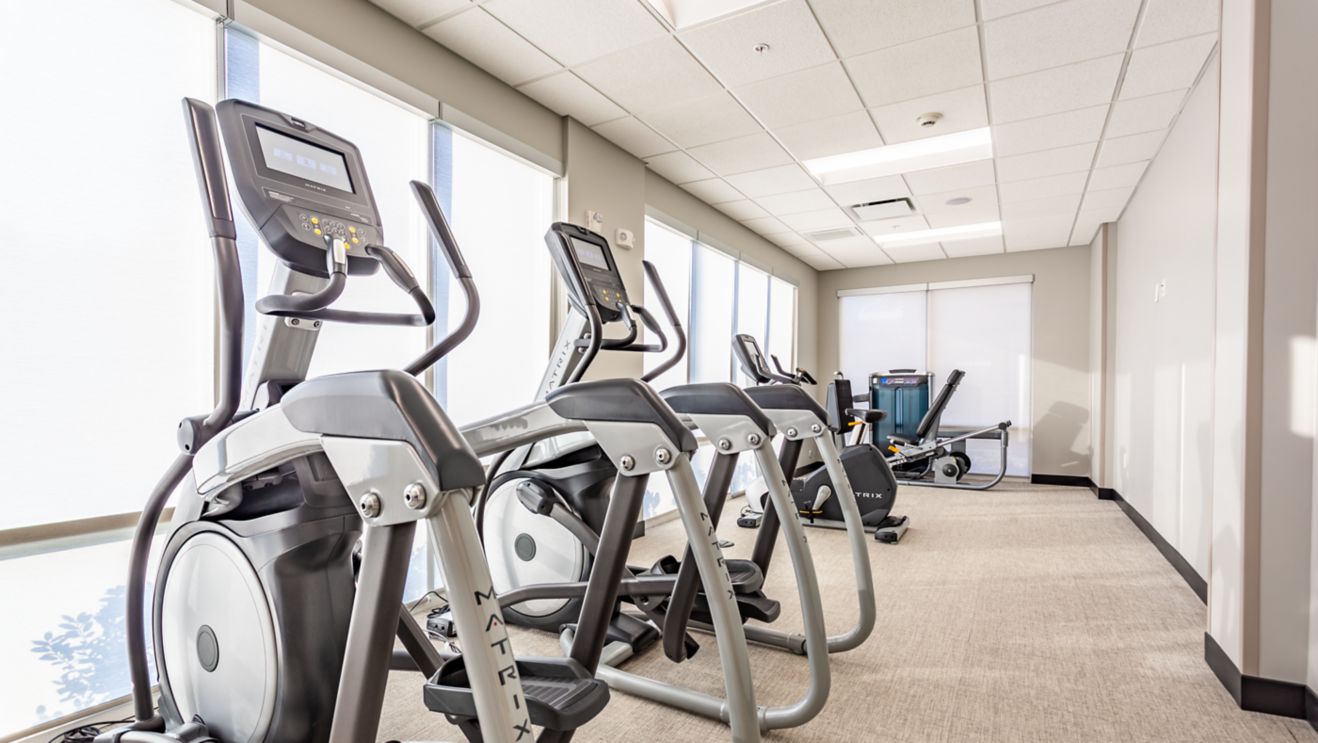 Elliptical machines in front of windows.