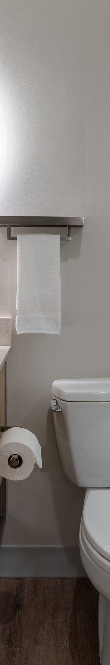 Representation of Suite Bathroom