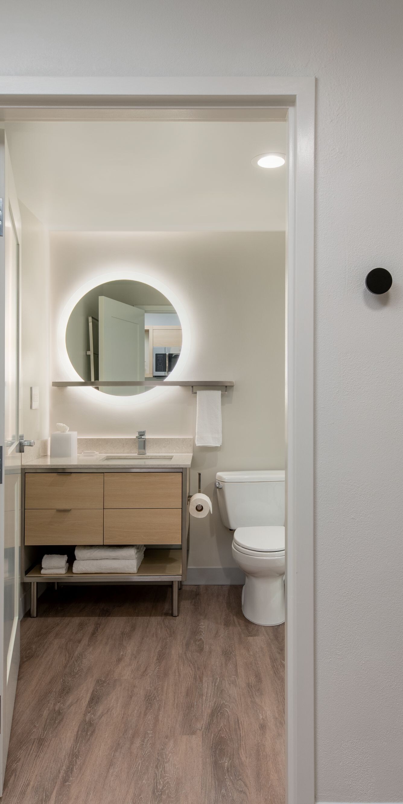 Representation of Suite Bathroom & Storage Area