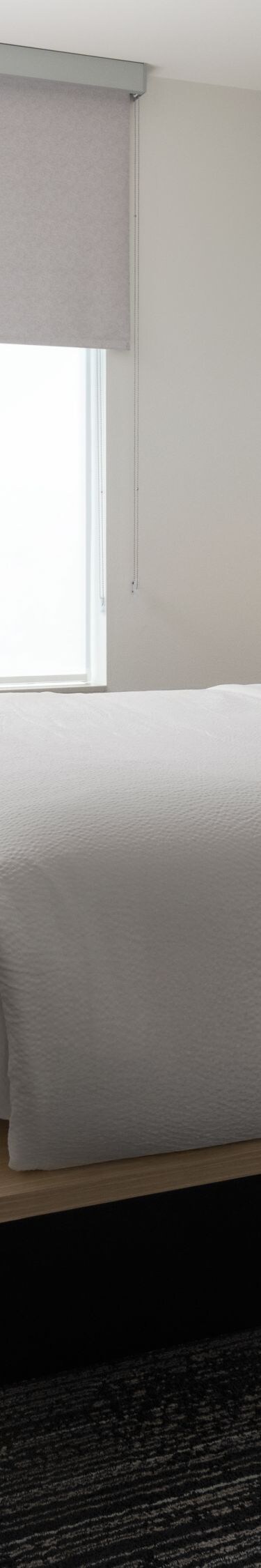 king bed in a one bedroom hotel suite