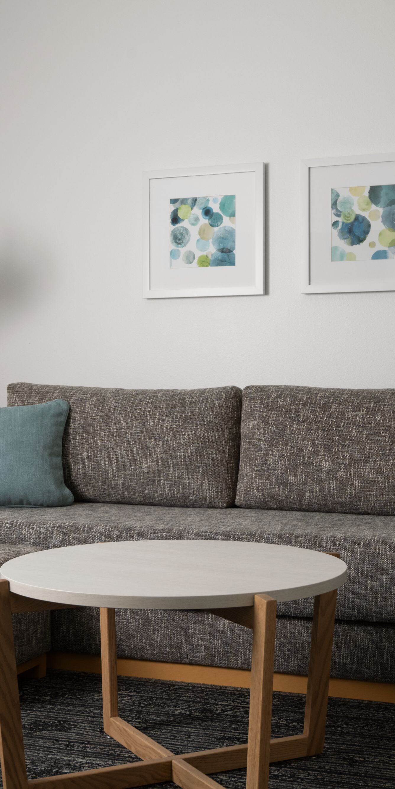sofa bed in living room of one bedroom
