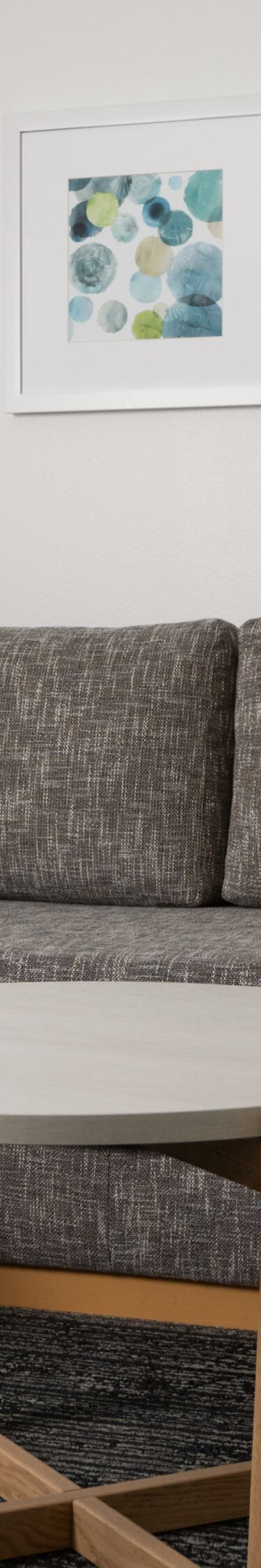 sofa bed in living room of one bedroom