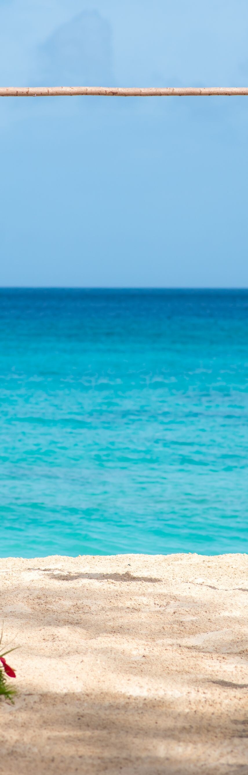 Beachfront Wedding