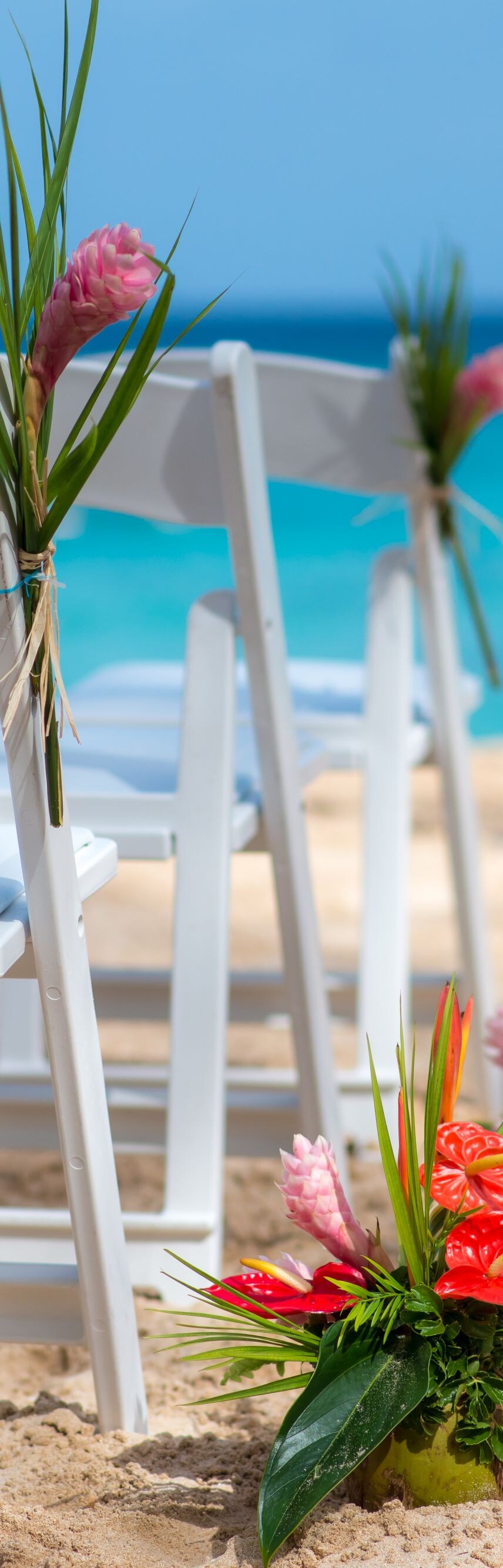 Beach Wedding