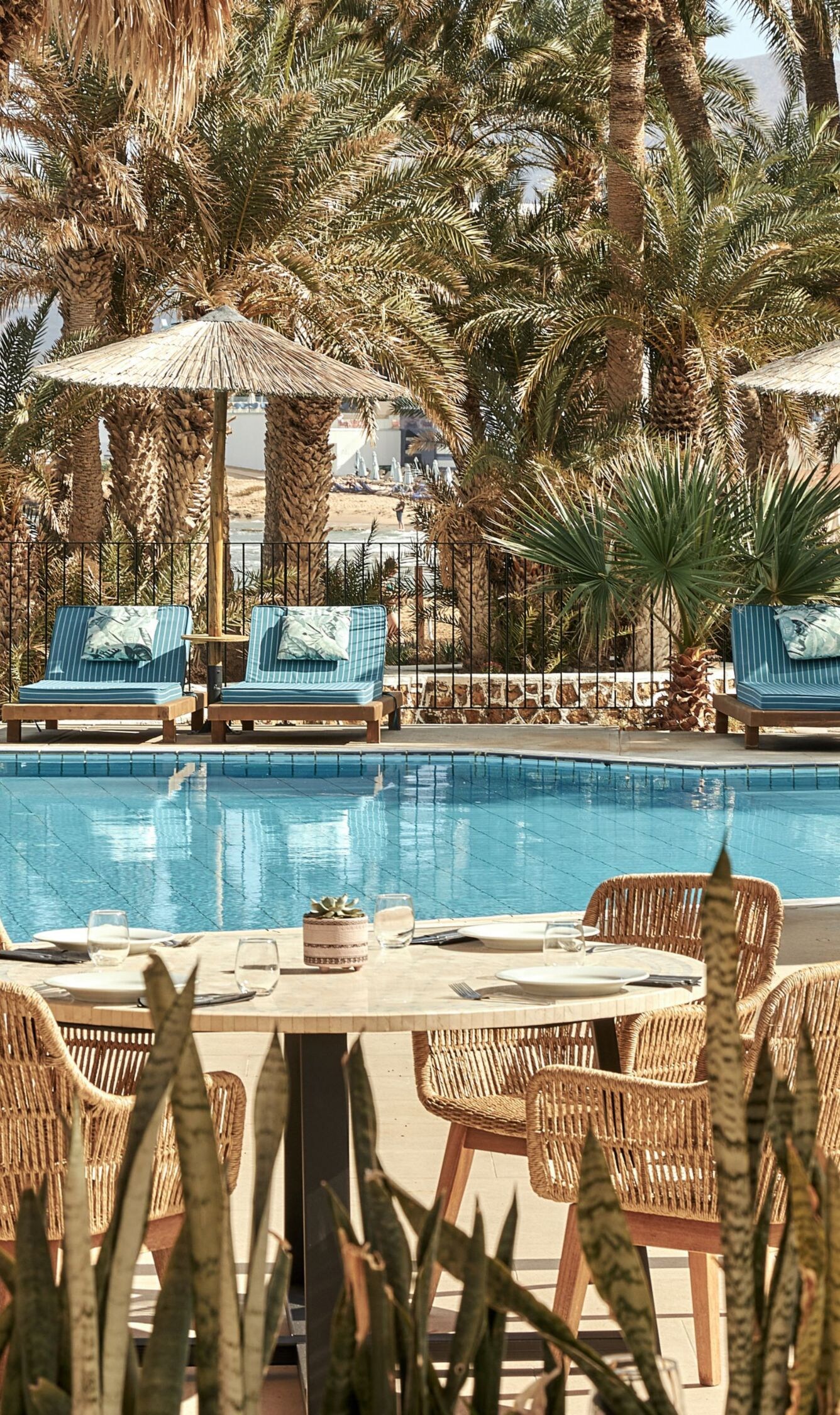 Sillas reclinables y bar junto a la piscina con palmeras