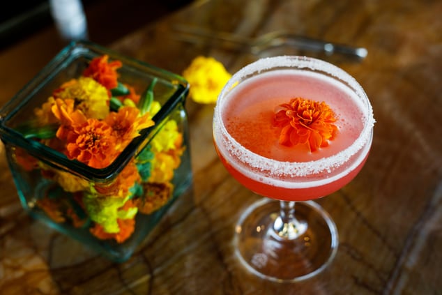 Cocktail, carnations, cocktail glass