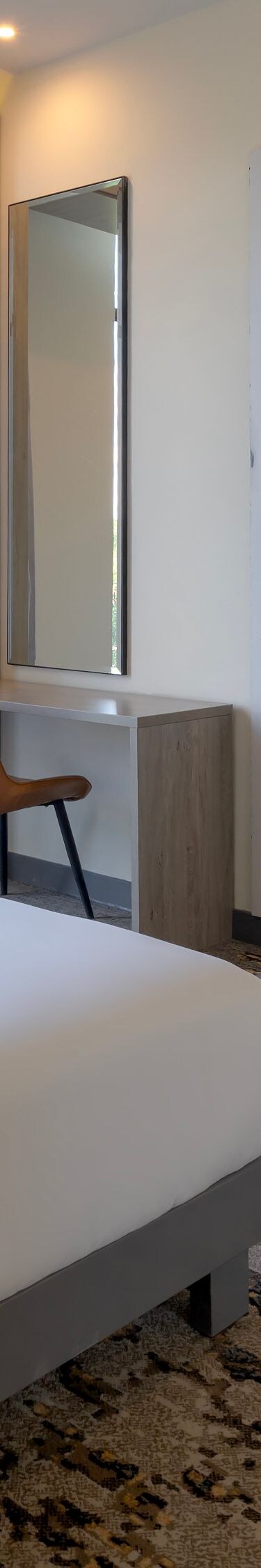 Guest Room - Junior Suite 