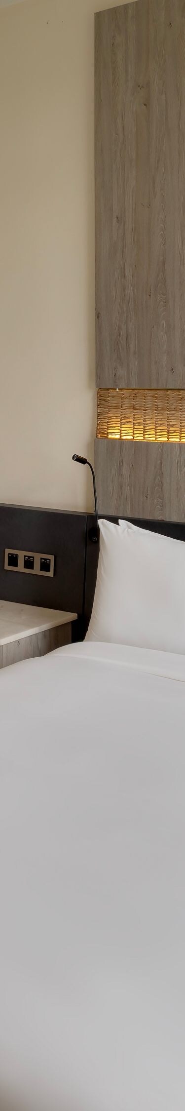 Guest Room - Junior Suite 