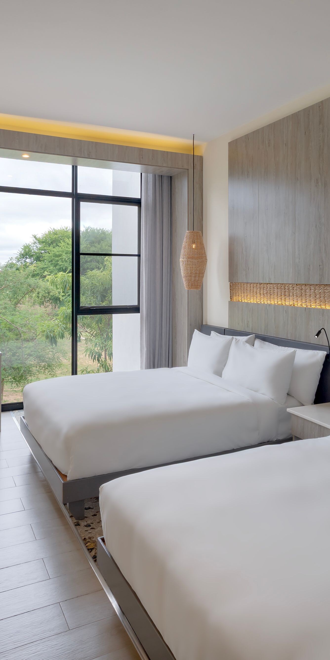 Guest Room - Deluxe Twin