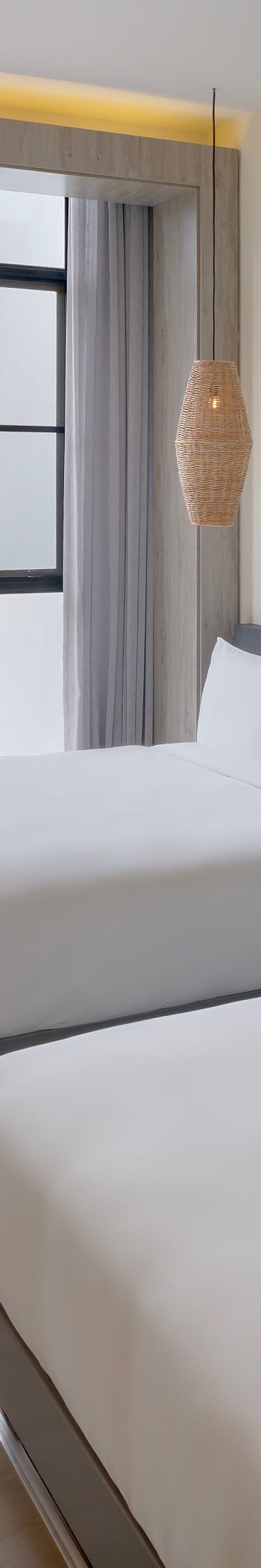 Guest Room - Deluxe Twin