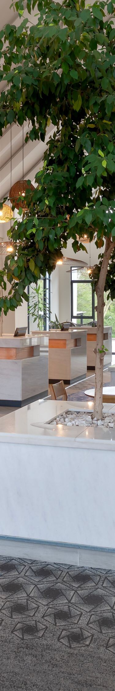 Lobby - Zuba Lounge 