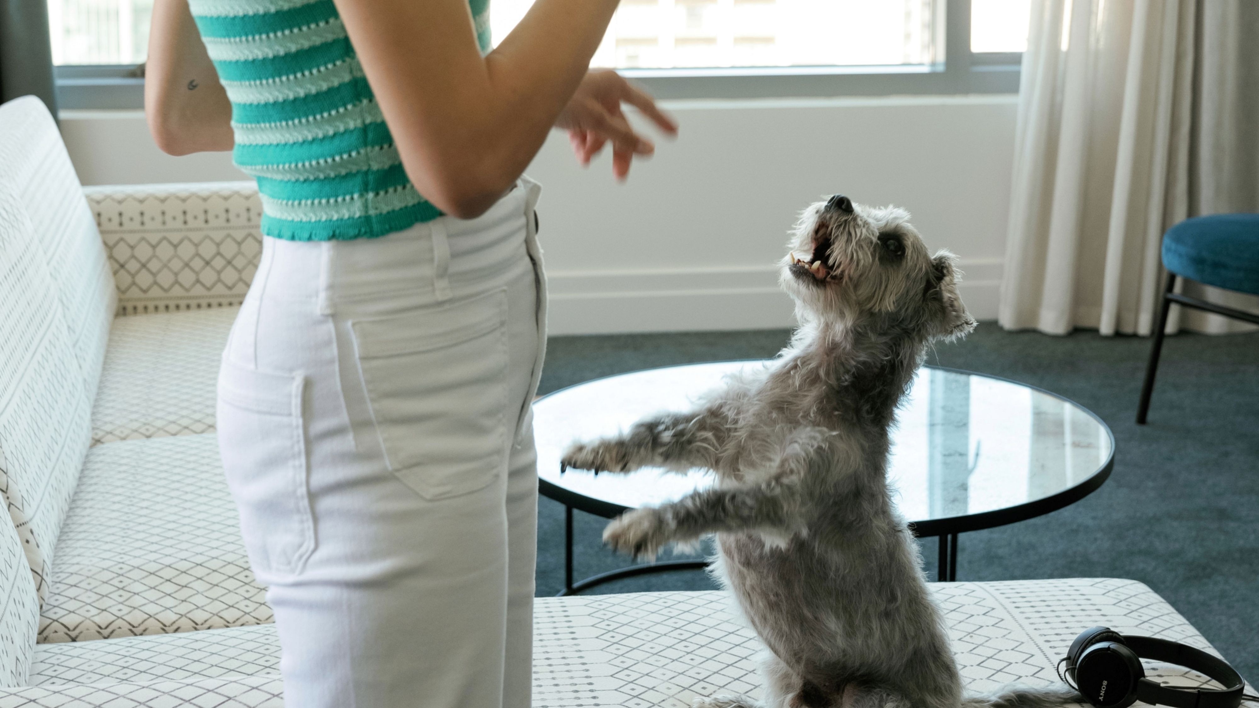 Paws & Stay at Alma