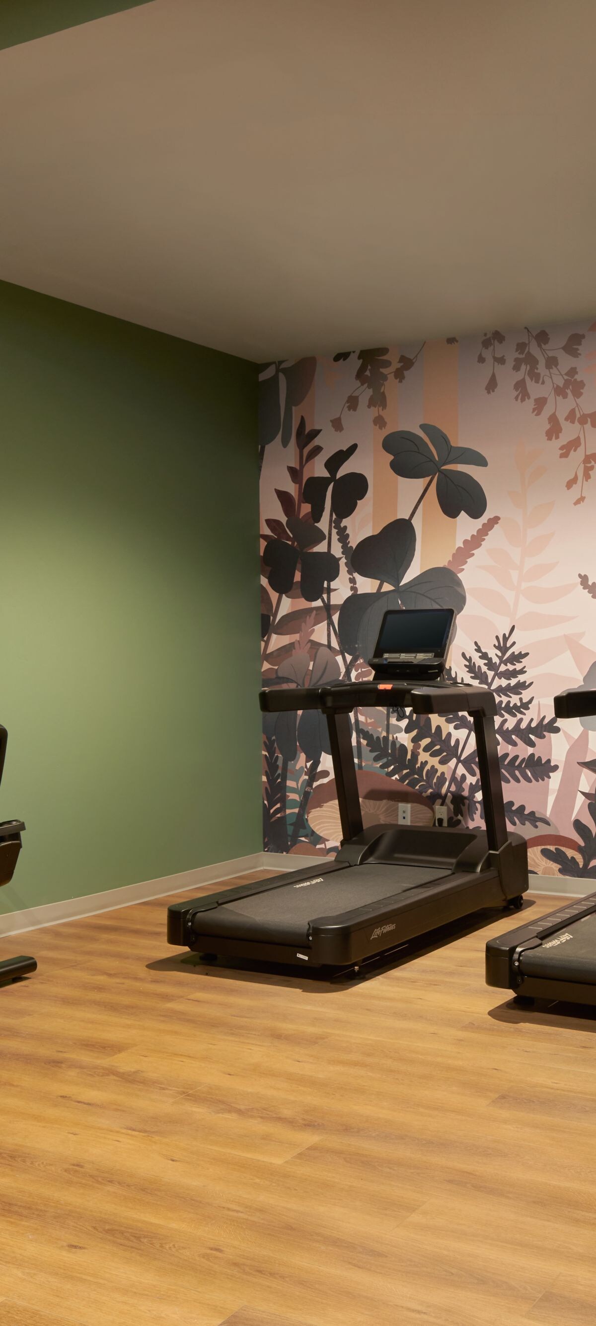 Gym cardio area with treadmill, elliptical, bike.