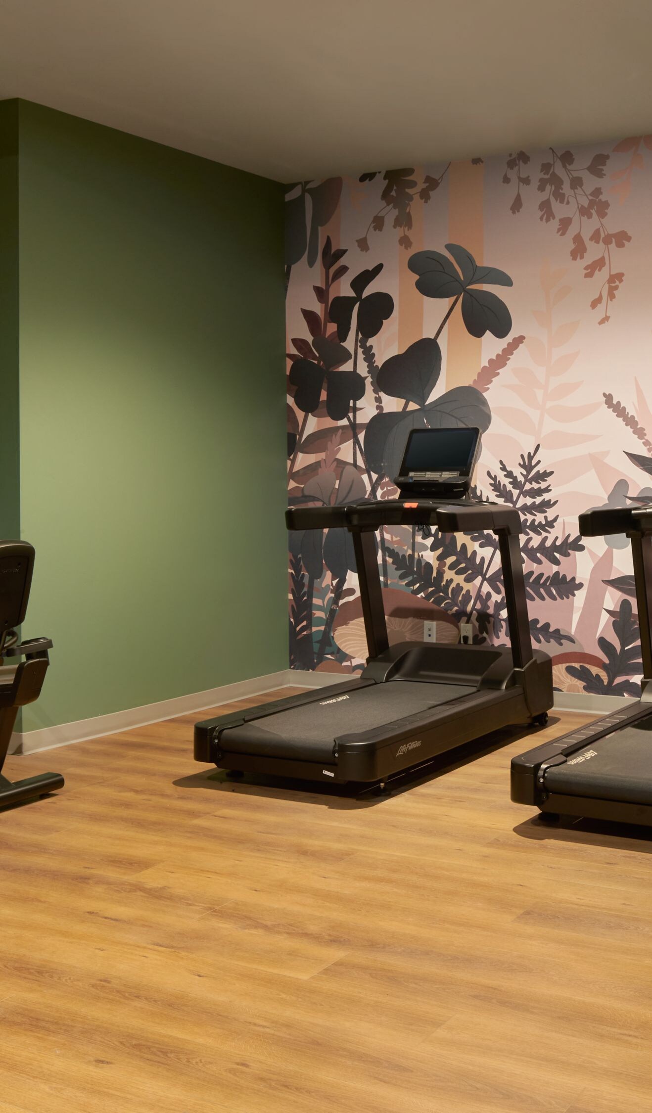 Gym cardio area with treadmill, elliptical, bike.