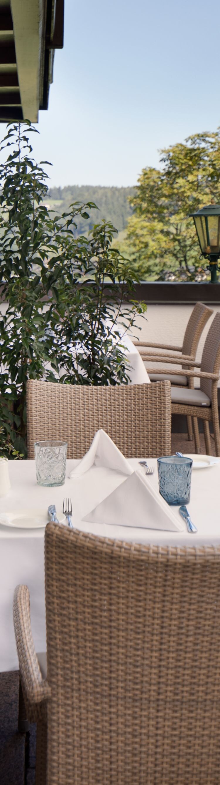 Cervus Restaurant Terrace