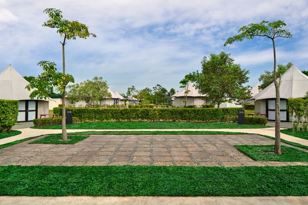 A private lush green courtyard 