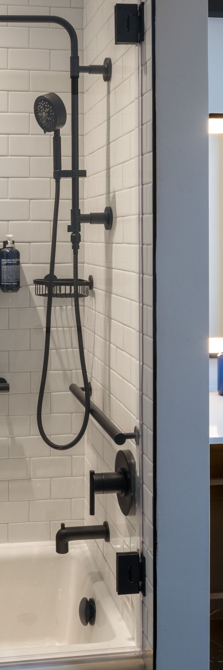 Mobility-Accessible Bathtub/Shower Combination