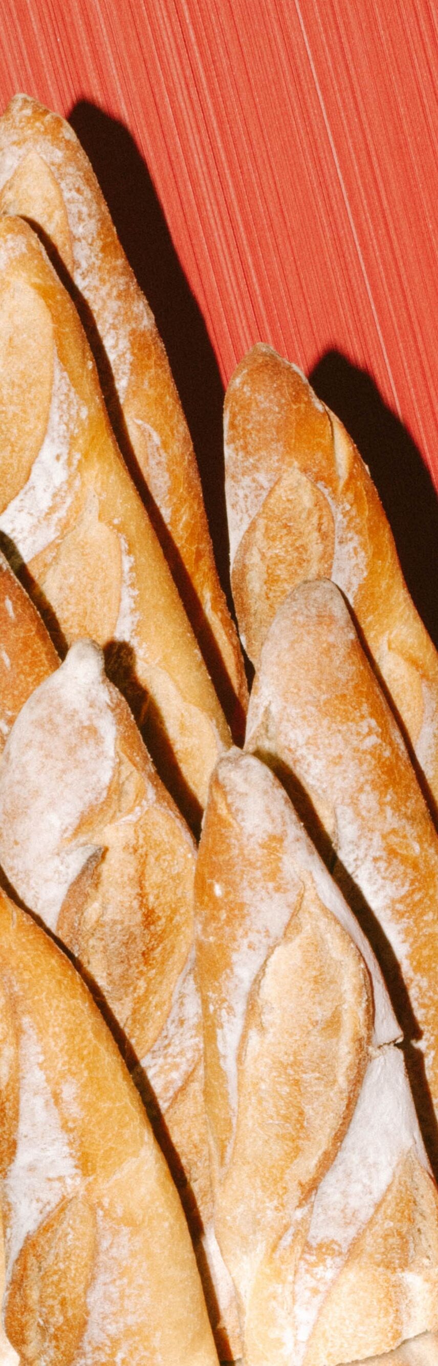 W Barcelona - Llums of Gaudí