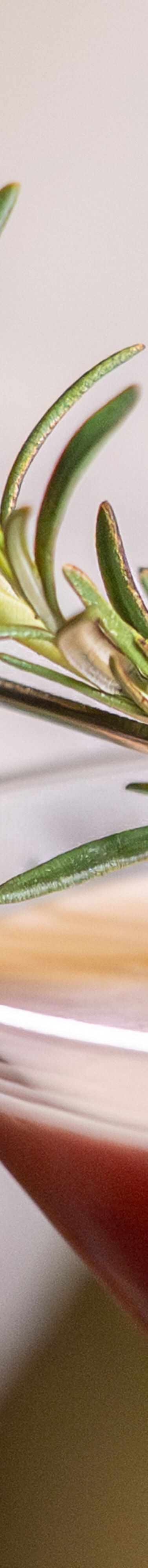 Close up of a signature cocktail garnish