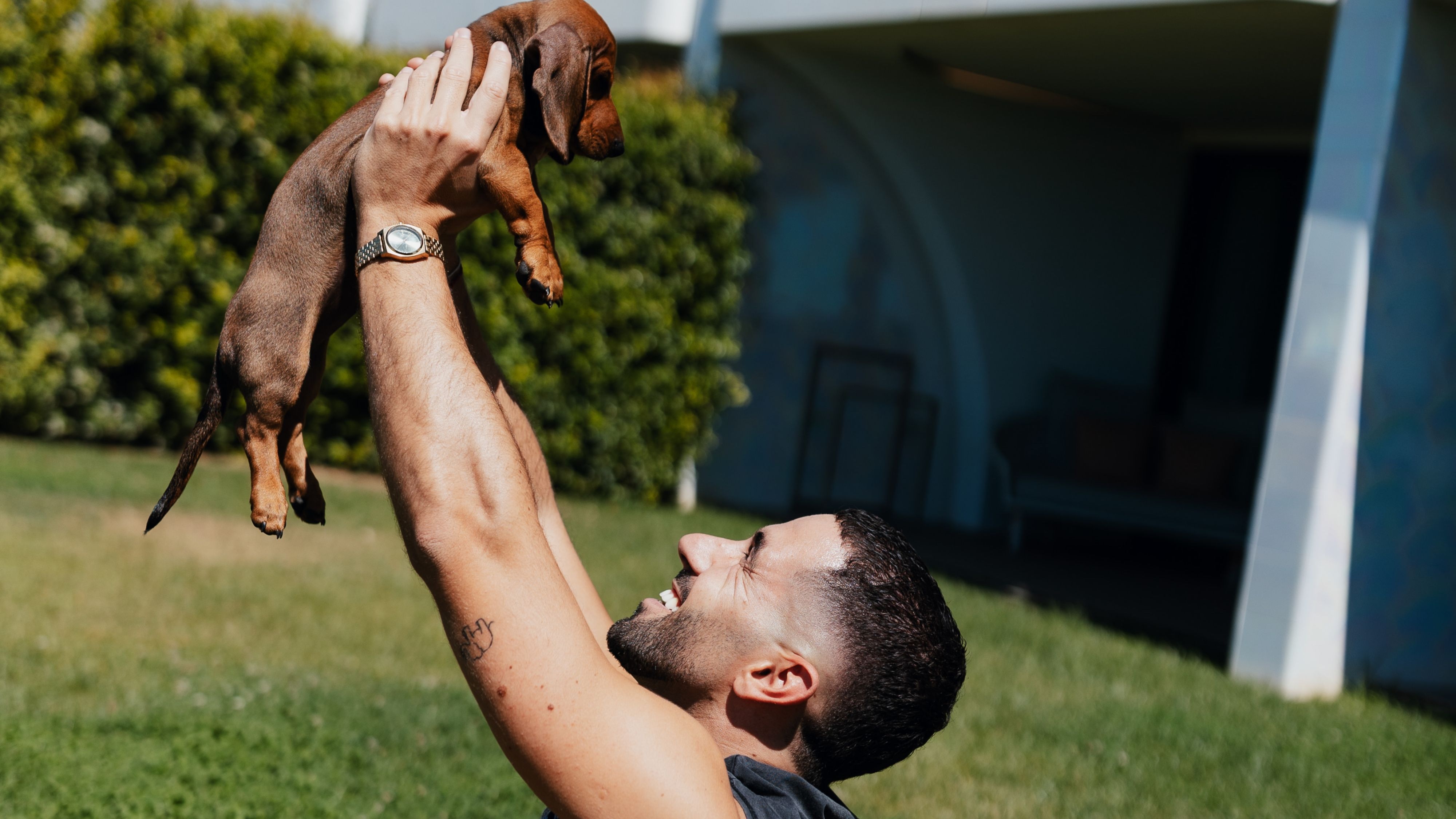 Pets are Welcome